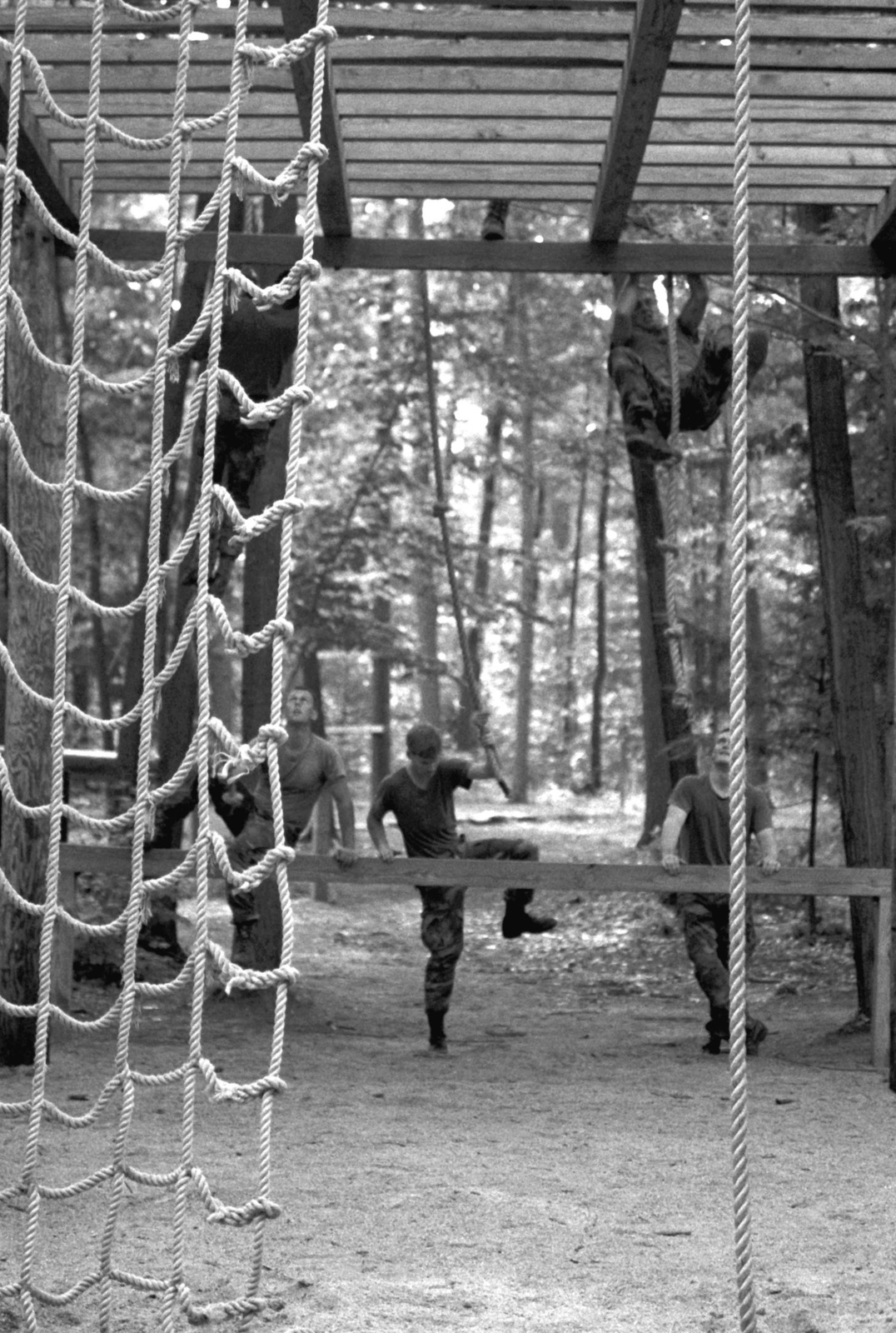 Members Of The Th Mountain Division Light Infantry Climb A Rope To A