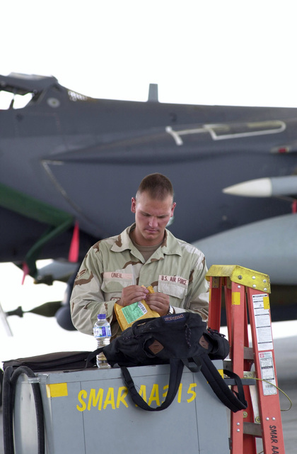 US Air Force USAF AIRMAN First Class A1C Brandon O Neil An F 15E