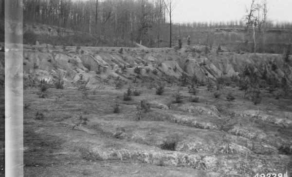 Photograph of Gully Erosion on Burr Oak Barrow Pit NARA DVIDS