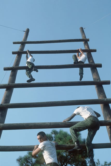 US Army recruits climb a ladder on the obstacle course - PICRYL ...