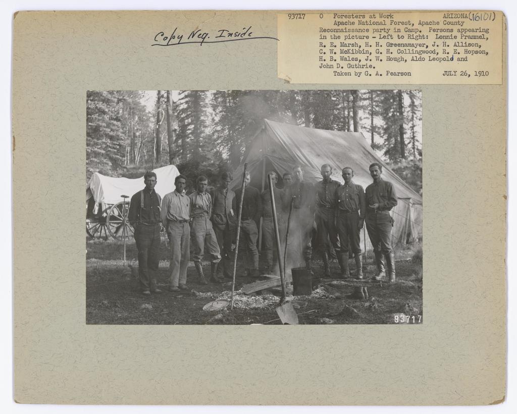 Foresters at Work - Arizona, National Forest Service photograph. - PICRYL -  Public Domain Media Search Engine Public Domain Search
