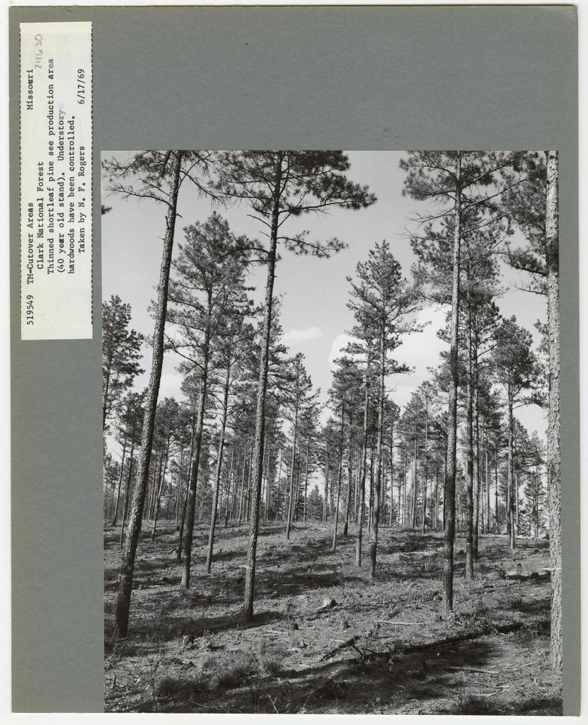 Timber Management - Partial Cutting - Missouri, National Forest Service 