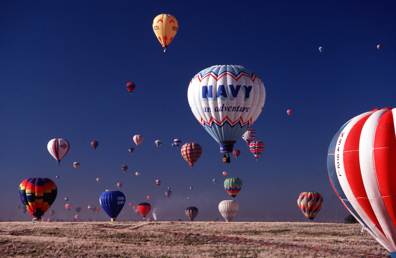 hot air balloon living room