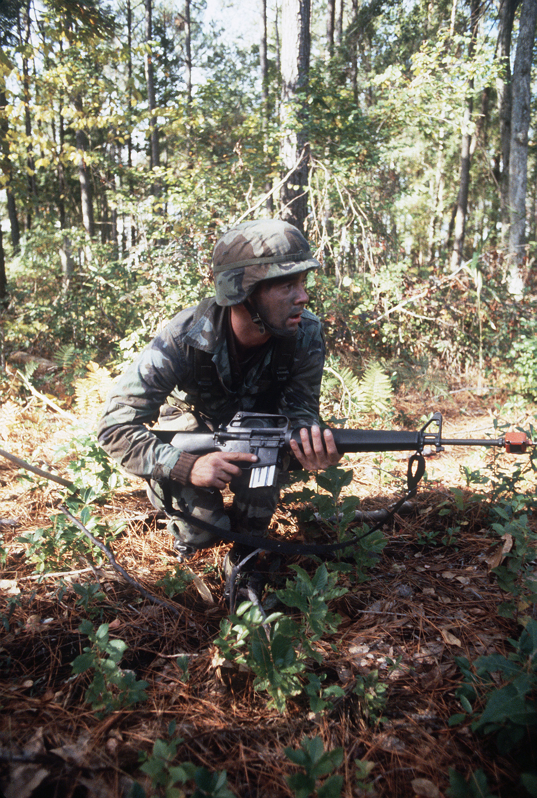 A member of the 82nd Airborne Division, armed with an M16A1 rifle ...