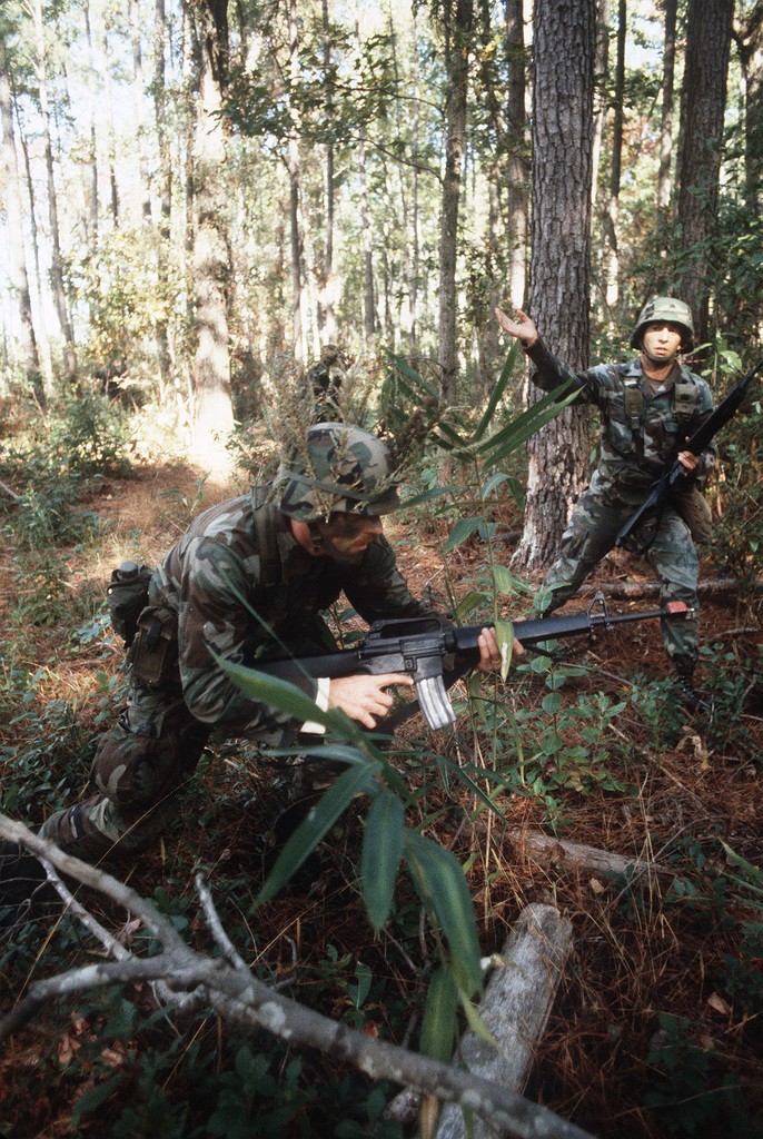 Members of the 82nd Airborne Division, armed with M16A1 rifles ...