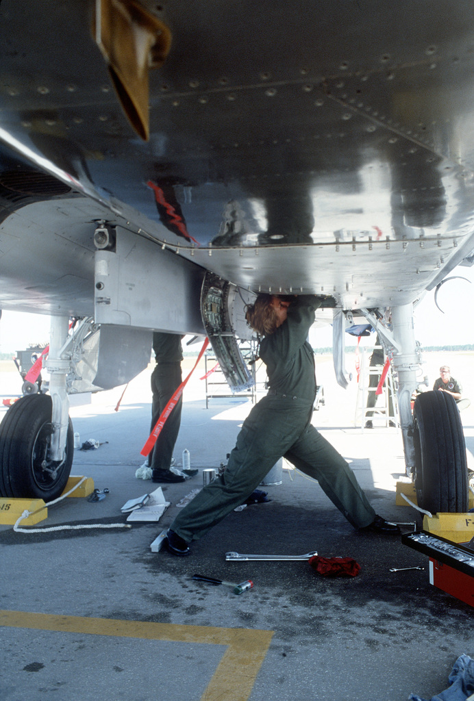 STAFF SGT. Anna Coon, a hydraulics technician with the 318th Fighter ...