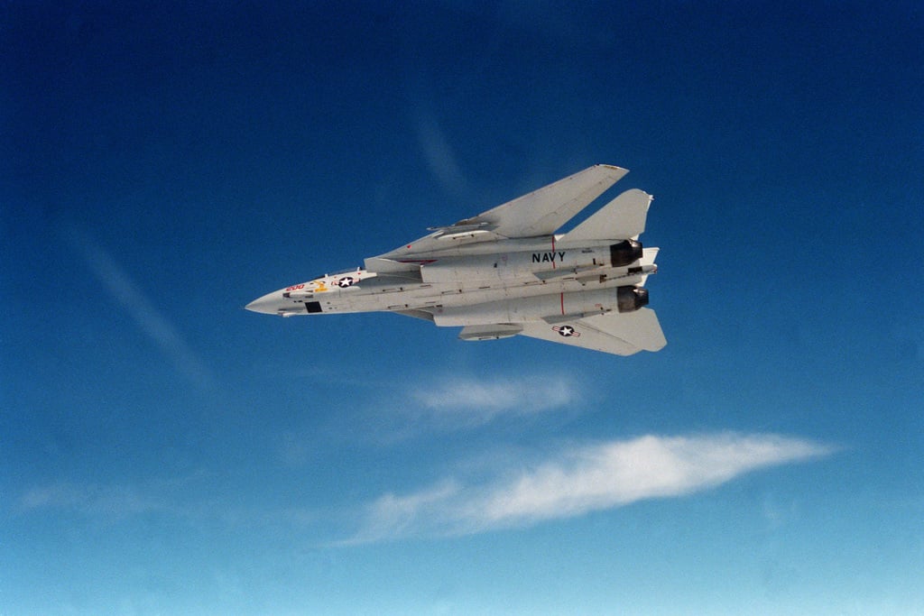 An air-to-air left underside view of a Fighter Squadron 194 (VF-194) F ...