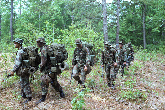 Marines patrol a wooded area during the field training Exercise SOLID ...