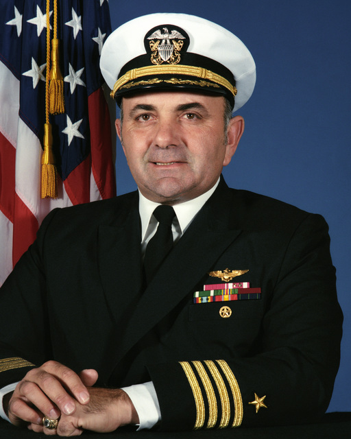 Portrait: US Navy (USN) Captain (CAPT) Ronald F. Testa (covered) - NARA ...