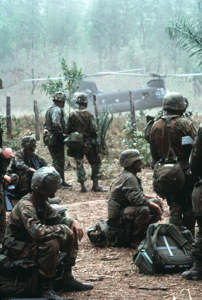 Members of the 1ST Battalion, 504th Parachute Infantry Regiment, 82nd ...