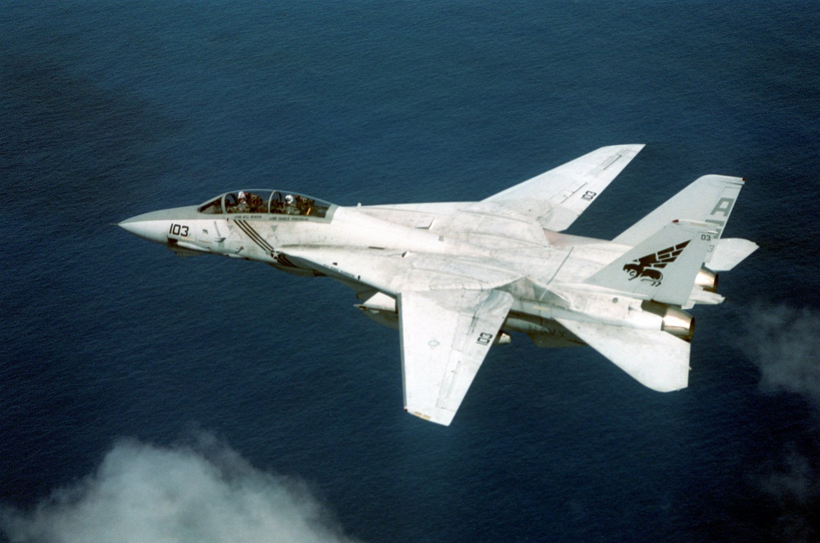 A overhead left side view of an F-14B Tomcat aircraft of Fighter ...