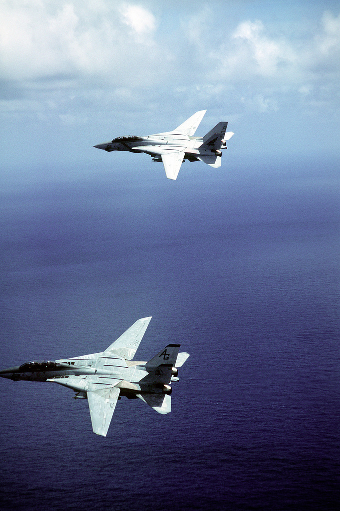 An air-to-air, left side view of a Fighter Squadron 143 (VF-143) F-14 ...