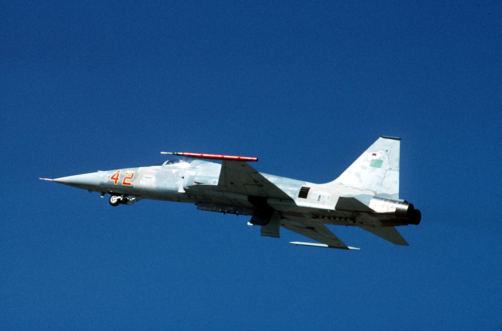 A Strike Fighter Squadron 127 (VFA-127) F-5E Tiger II aircraft, painted ...