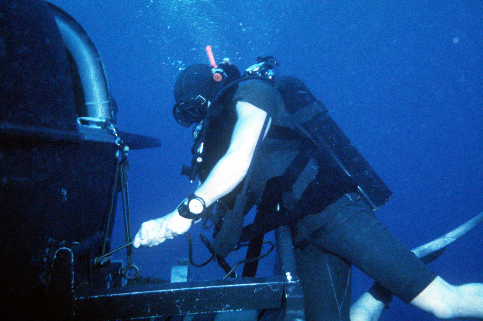 Seal inside. Navy Seals океанариум. SDV (Seal delivery vehicle) Mark 8 Mod 1. Seal Team Diving. Act.+"Seal delivery vehicle Dive".