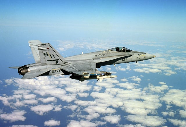 A starboard aerial of an F/A-18 Hornet, Strike Fighter Squadron 94 (VFA ...