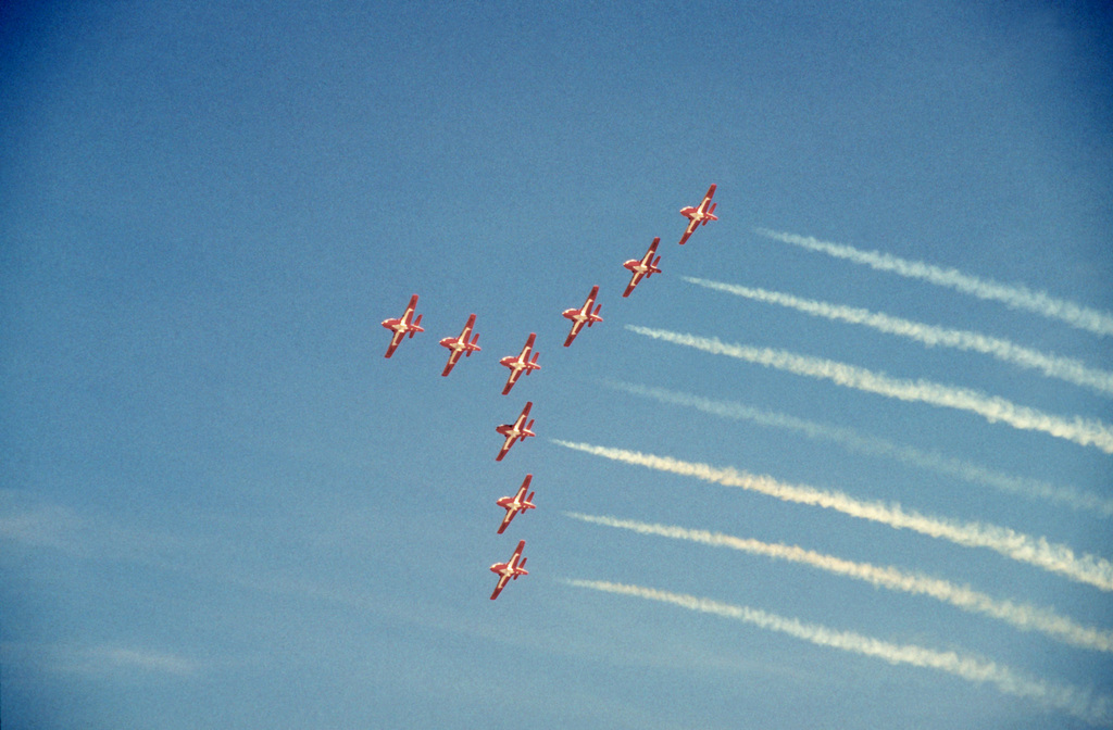 Snowbird Flight