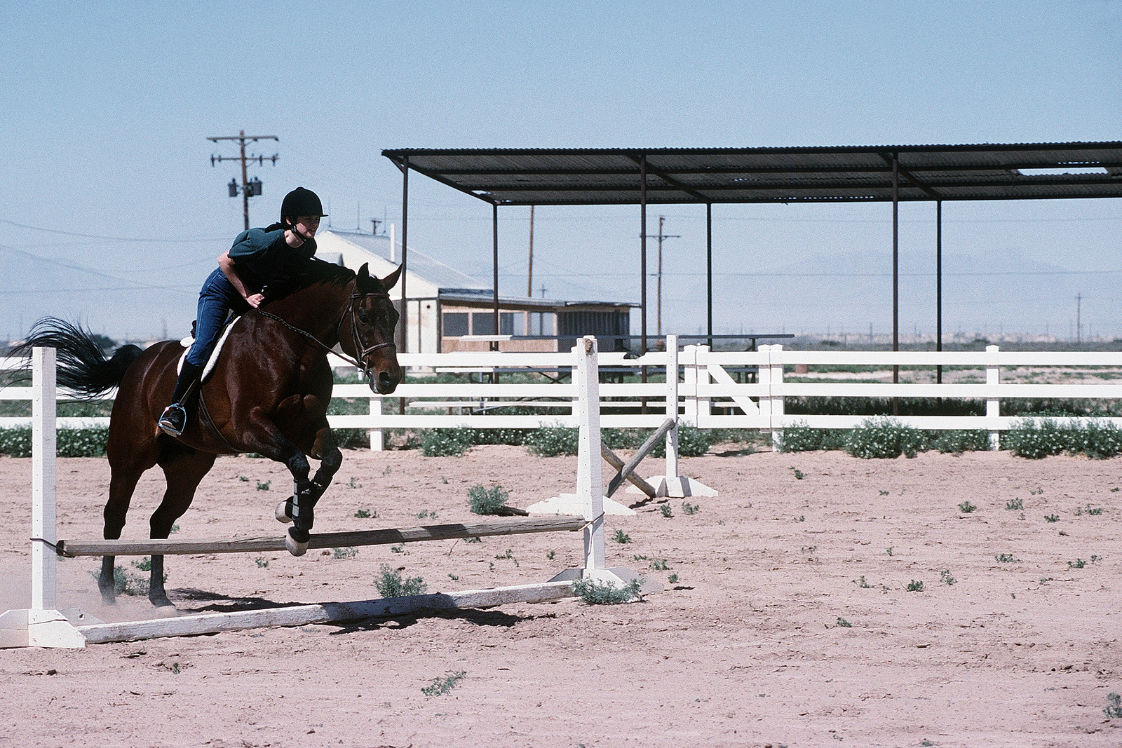 Janice Kellerman Puts Her Show Horse Cosmic Dreams Through The Paces At ...