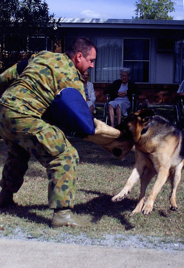 a-police-dog-demonstration-is-given-at-the-community-relations-project