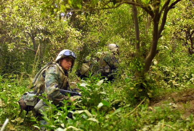 US Marines Corps (USMC) Lance Corporal (LCPL) Jeremy Carter, 1ST ...