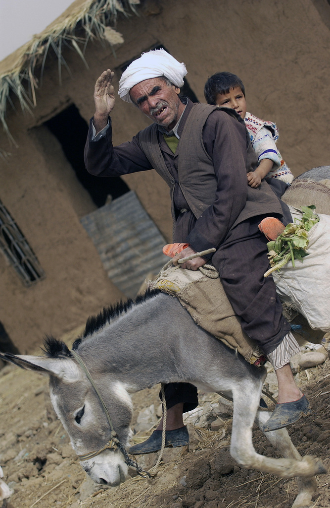 Image of Franklin Roosevelt as a toddler seated on a donkey at