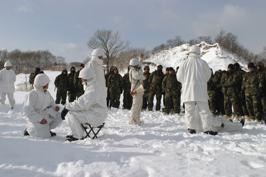 Japanese Ground Self Defense Force (JGSDF) Soldiers from the 20th ...