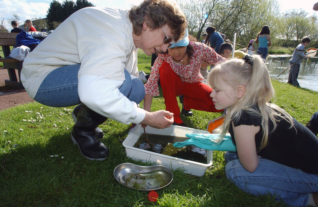 Pond dipping is part of an environmental program aimed at children for a  better understanding of the ecological system. It consists of dipping a net  into a pond, catching small water insects,