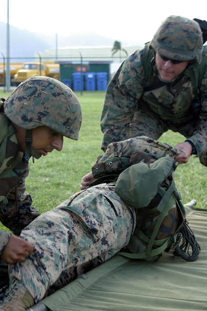 Us Marine Corps Usmc Lance Corporal Lcpl Martinez And Private First Class Pfc Garcia Golf 2357