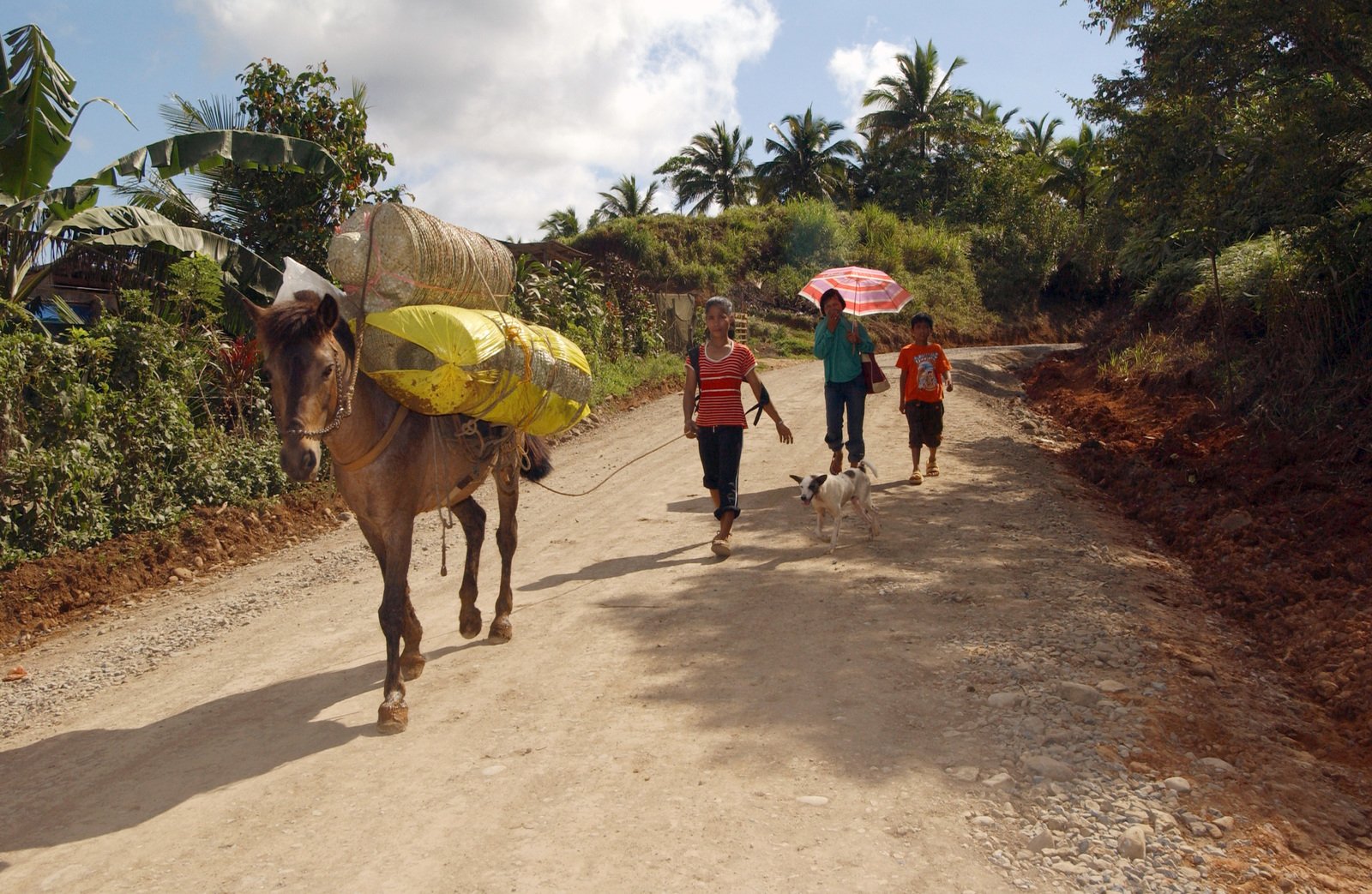 A Filipino family with a horse walks down a road that U.S. Navy Seabees ...