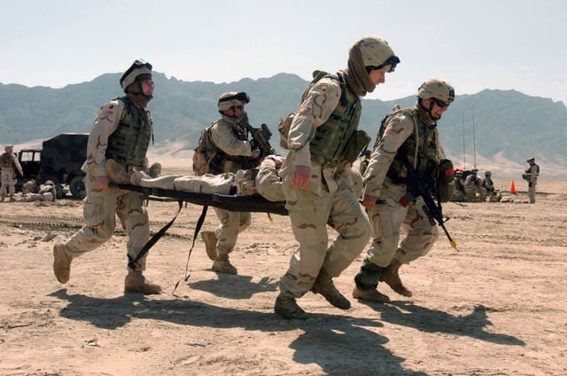 US Army (USA) Soldiers from Charlie Company, 3rd Battalion, 116th ...