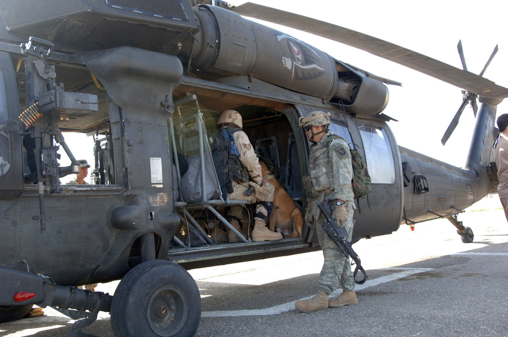 U.S. Army Soldiers from 1ST Squadron, 32nd Cavalry Regiment, 101st ...