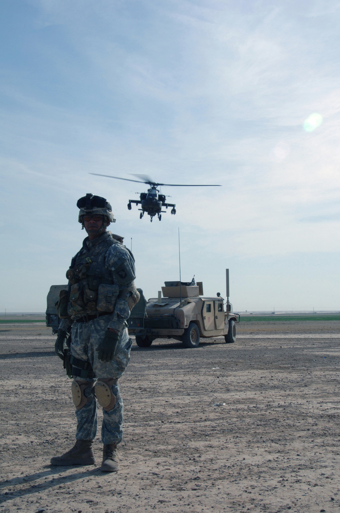 A US Army (USA) Soldier, Bravo Battery (B BTTY), 3rd Battalion (BN ...