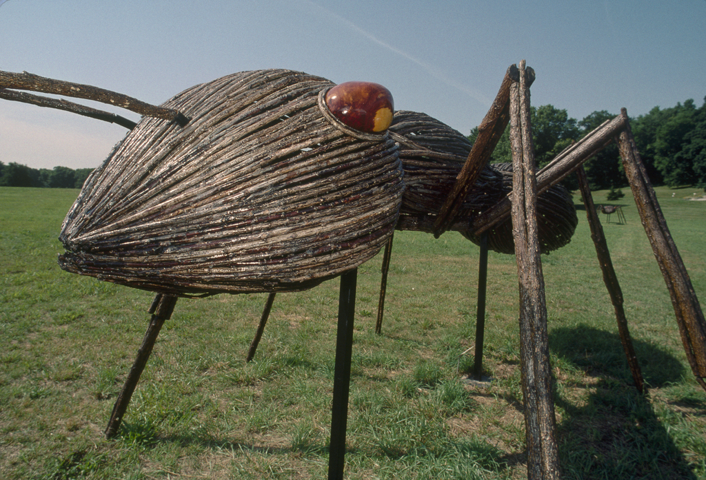 Environmental Images ( Water Treatment Plant, Vegetables, Sculptures ...