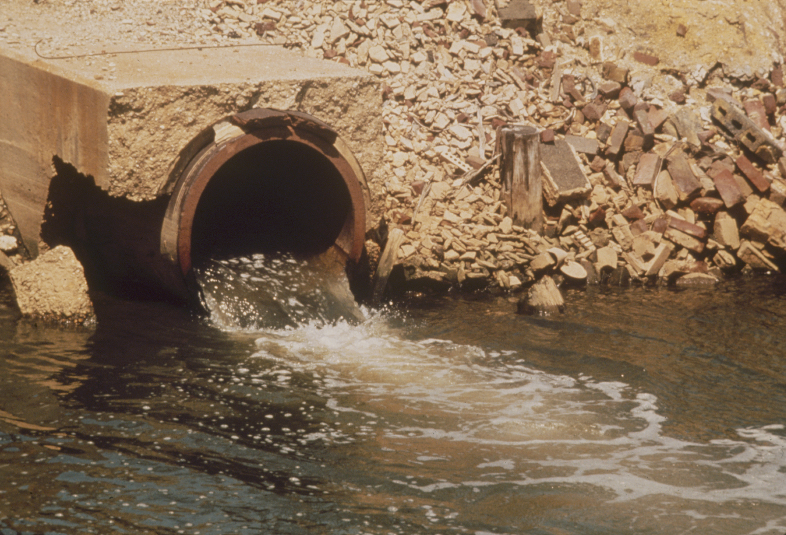 Environmental Images ( Water Treatment Plant, Vegetables, Sculptures ...