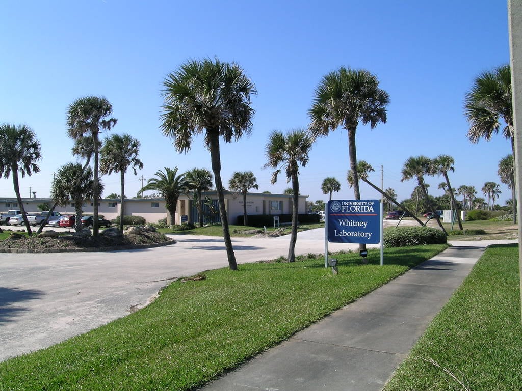 A1A Scenic and Historic Coastal Byway - Science Among the Palm Trees on ...