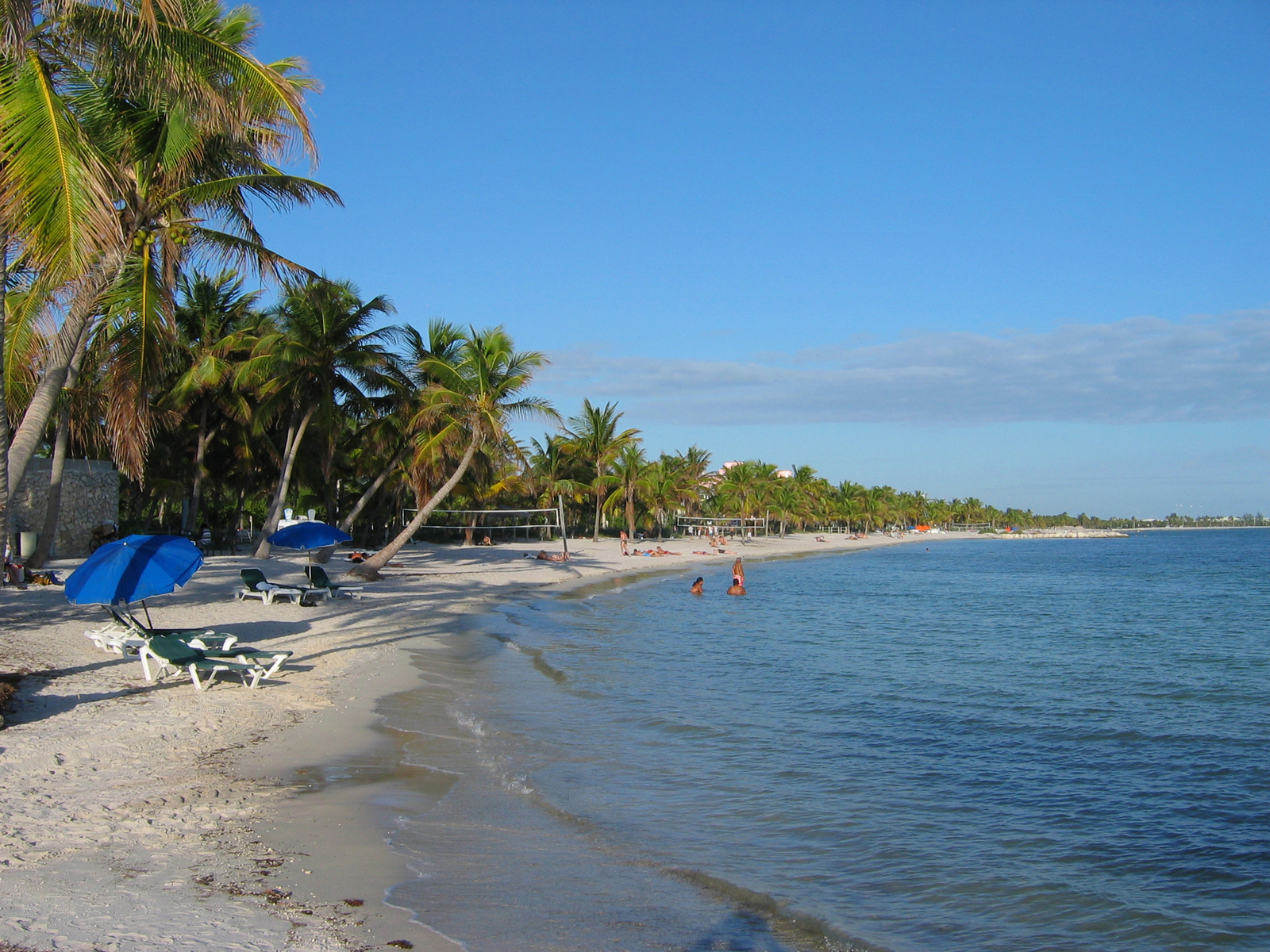 palm shaded key west beaches