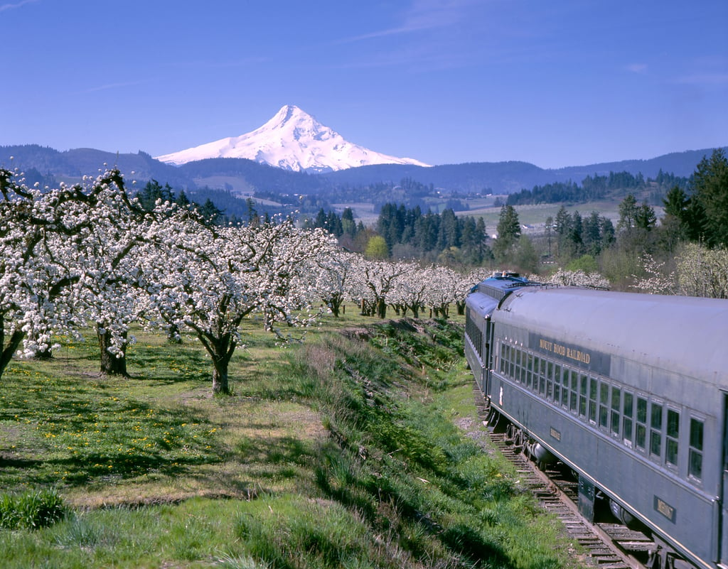 Mt. Hood Scenic Byway - Mount Hood Railroad with Spring Blossoms - NARA &  DVIDS Public Domain Archive Public Domain Search