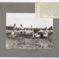 FO Workers Series - Georges Baradat Larroude, Bordeaux (Port